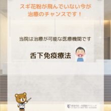 ｽｷﾞ花粉の飛んでいない今が治療のﾁｬﾝｽです。